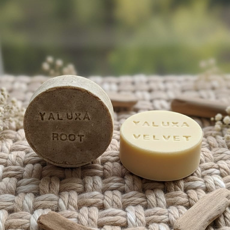 Duo Root Yaluxa